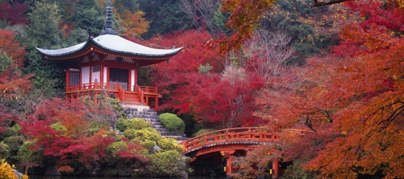 Viajar Japon