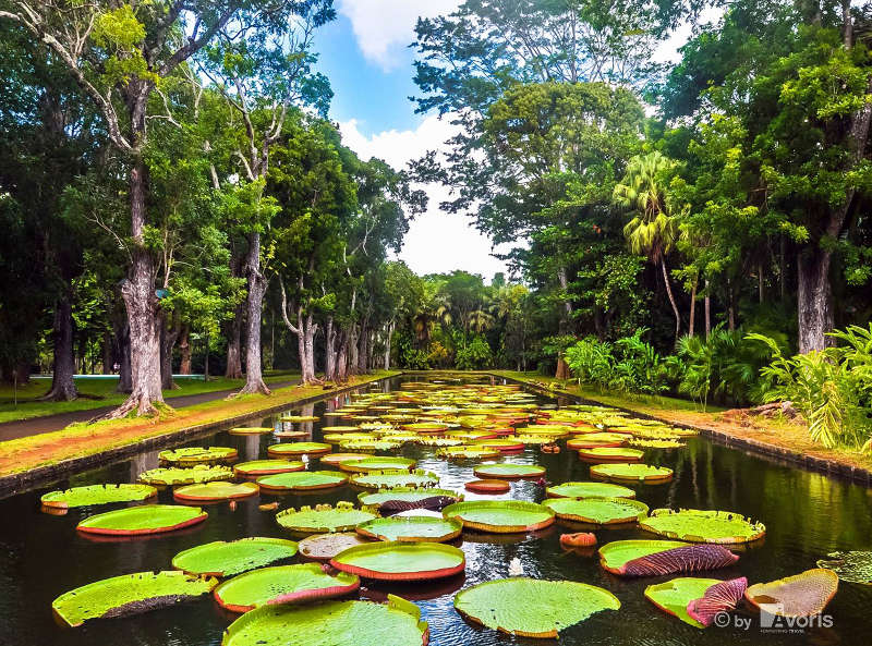 HOTELES ISLAS MAURICIO