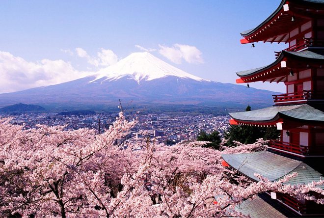 Viaje Japon hanami4