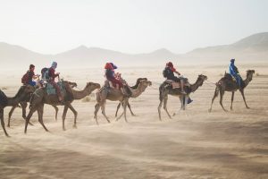 Viajar en grupo, consejos fundamentales