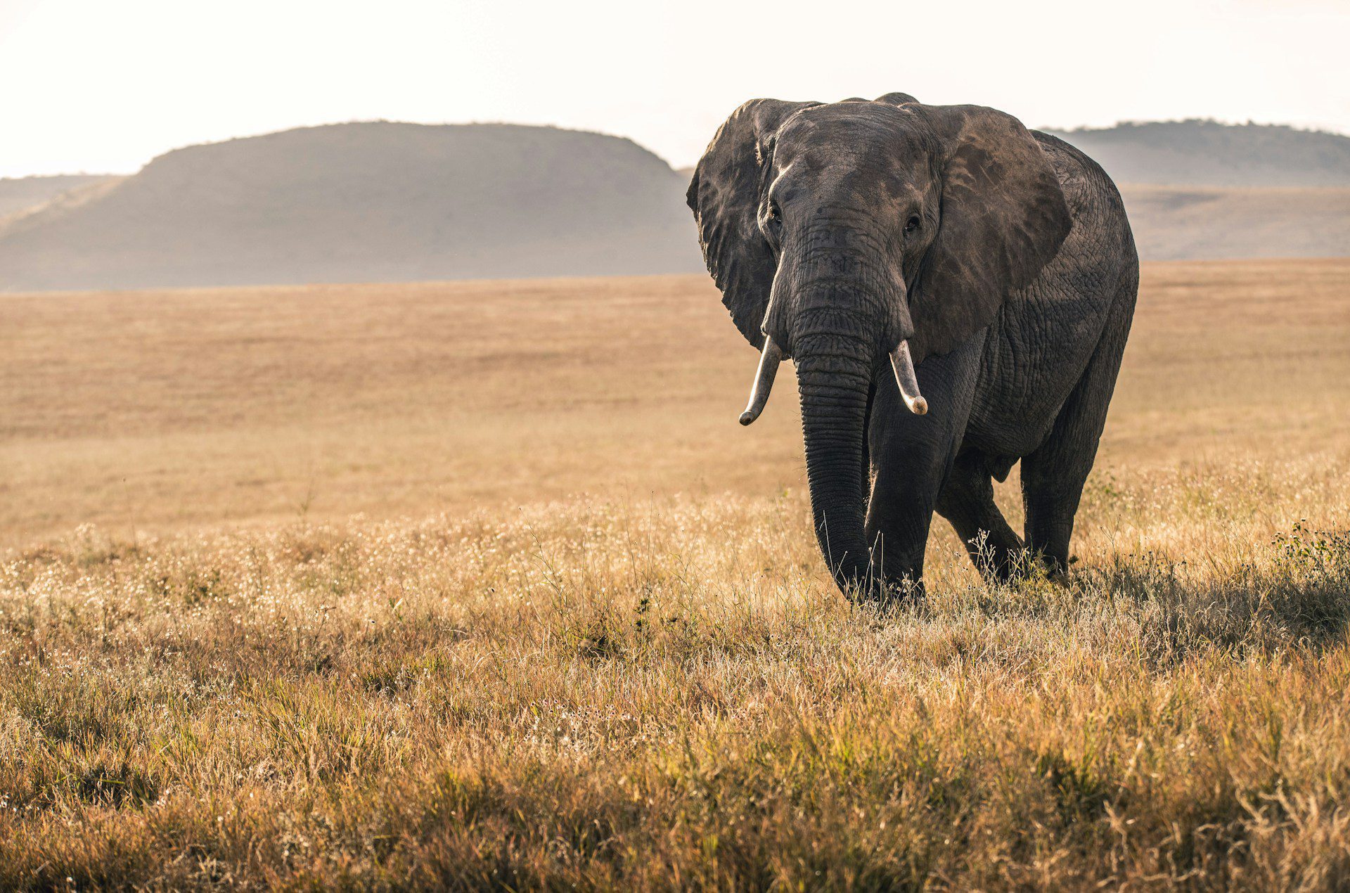 Tanzania y Zanzíbar